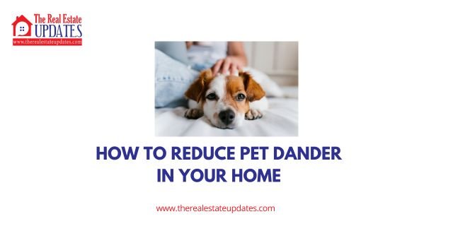 pet dander